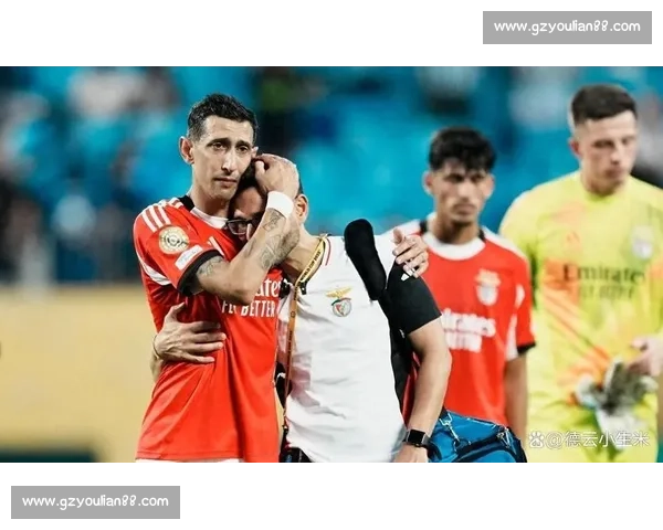 本菲卡球迷赴美观赛遭拒签 损失近 8000 元梦碎世俱杯 本菲卡球迷赴美观赛遭拒签 损失近 8000 元梦碎世俱杯